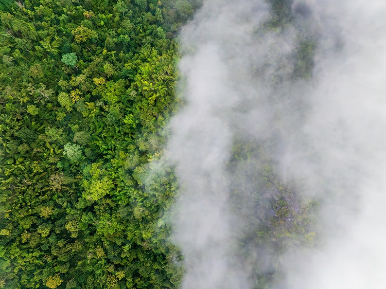 greenhouse-gas-emissions